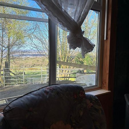 Cozy Room In A Barn With Farm View Dublin Exteriör bild