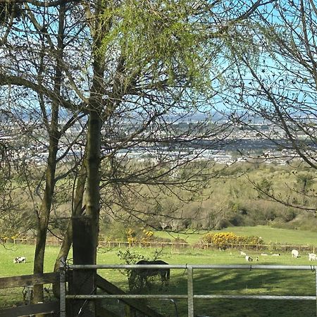 Cozy Room In A Barn With Farm View Dublin Exteriör bild