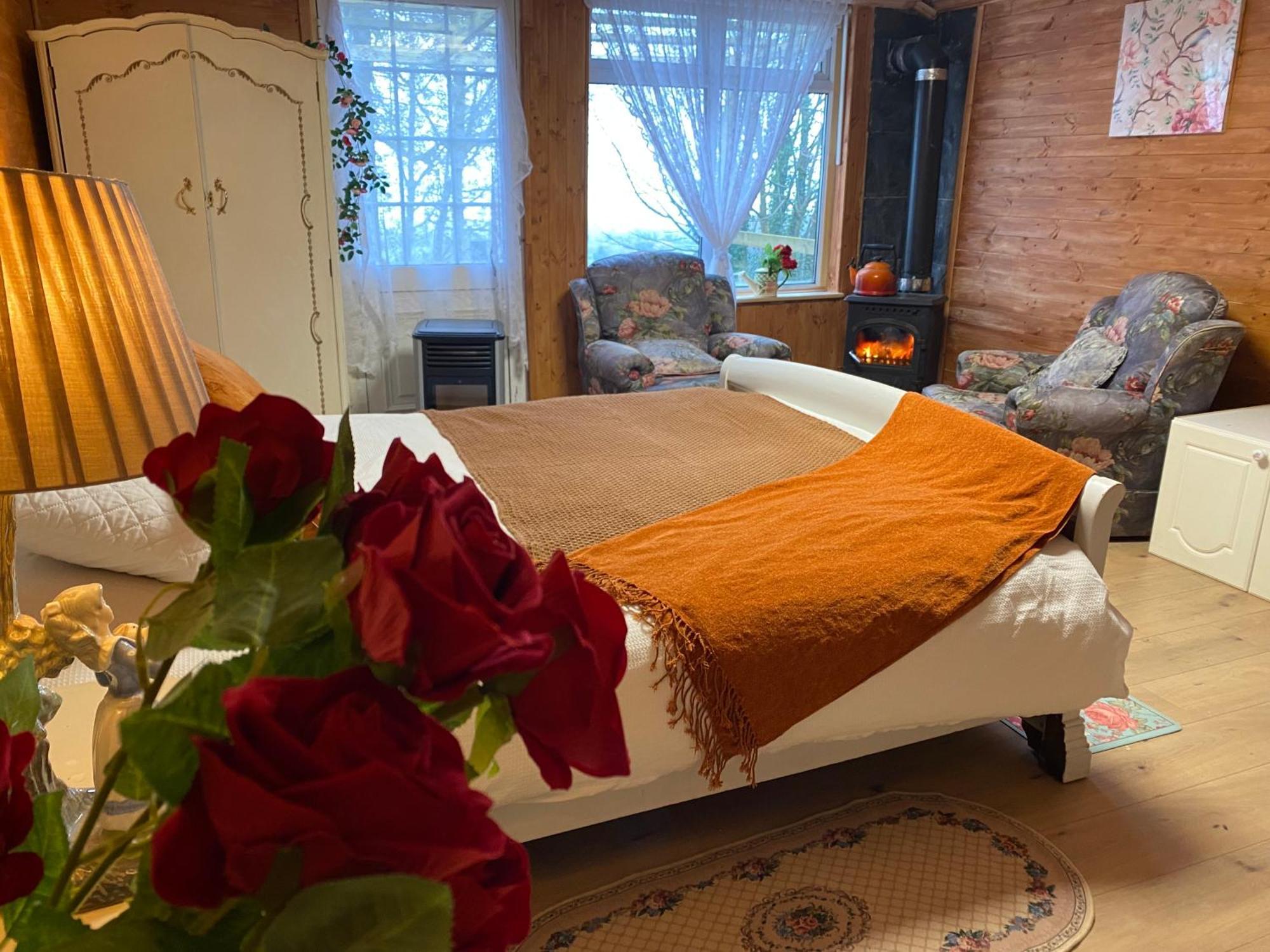 Cozy Room In A Barn With Farm View Dublin Exteriör bild