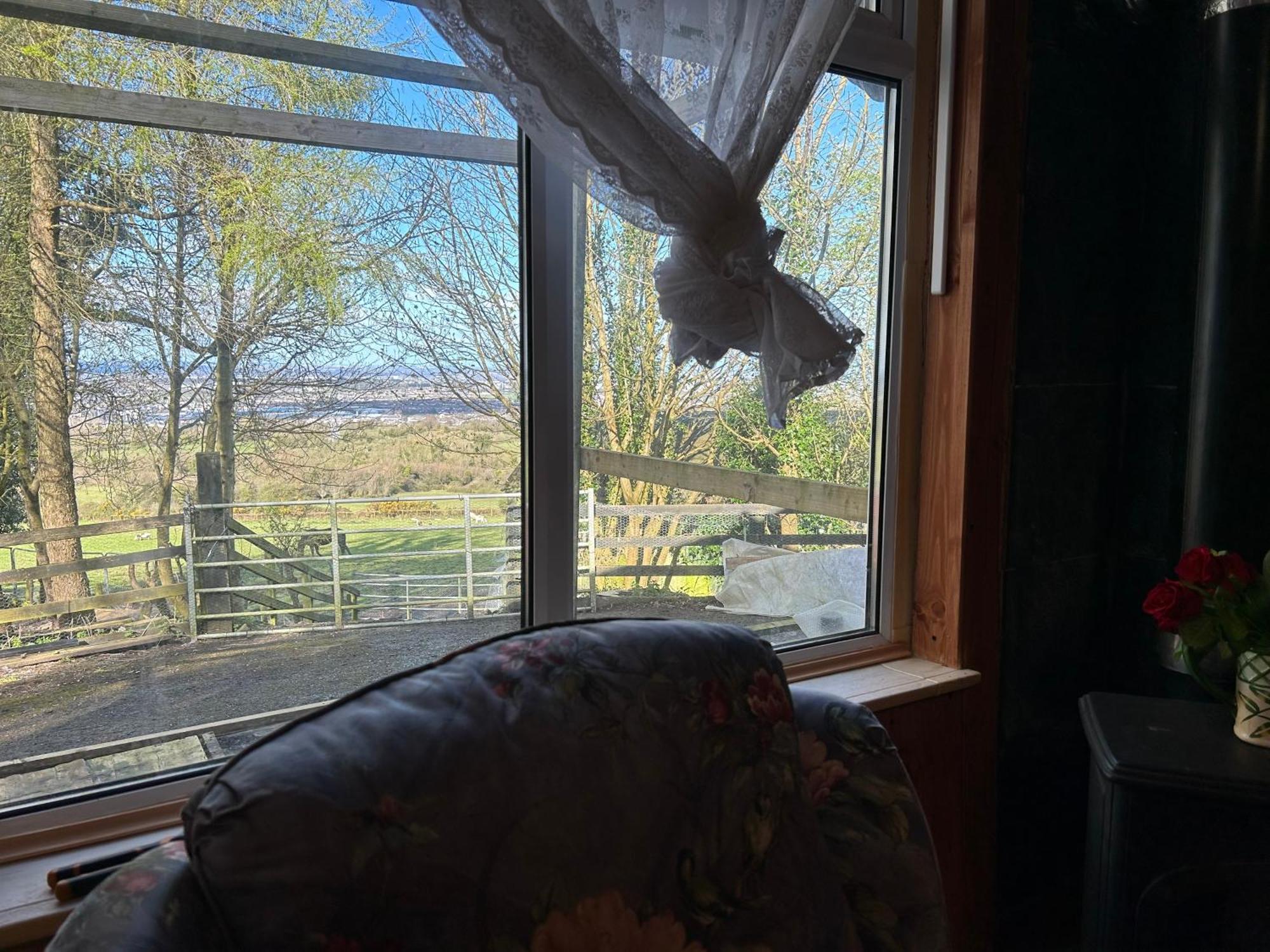 Cozy Room In A Barn With Farm View Dublin Exteriör bild