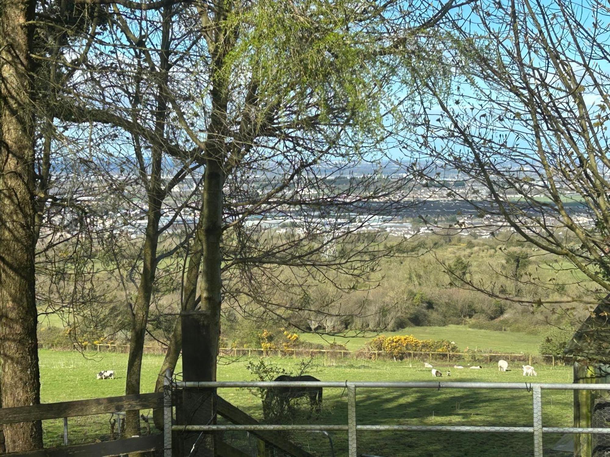 Cozy Room In A Barn With Farm View Dublin Exteriör bild